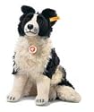 Border Collie - Mohair