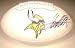 Adrian Peterson Autographed/Hand Signed Minnesota Vikings Team Logo Football