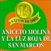 Search : Mis 14 Exitos Oro