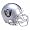 NFL Pro Line Helmet (EA)