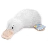 Webkinz Googles