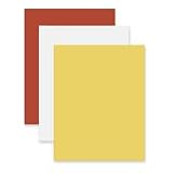  : Colored 4-Ply Poster Board, 22 x 28, Gold on One Side, 25 Boards/Carton (RIV04030)