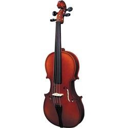 Strunal 220 FH Student Violin Outfit, 4/4 21S6uo3TE2L. SL500 Strunal 220 FH Student Violin Outfit, 4/4