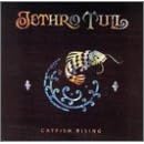 Click here to buy Catfish Rising by  Jethro Tull .