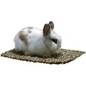 Woven Grass Mat - 11 1/4 in. x 16 in.