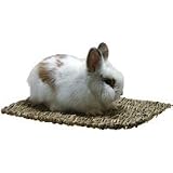 Woven Grass Mat - 11 1/4 in. x 16 in.