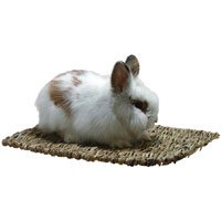 Woven Grass Mat - 11 1/4 in. x 16 in.