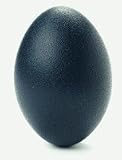 Emu Egg