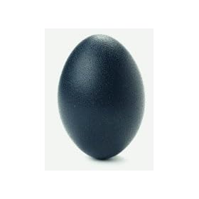 Emu Egg