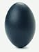 Emu Egg