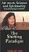 Art Meets Science & Spirituality: Paradigm [VHS]