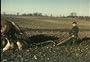 Classic History of Farming and Agriculture in America Films