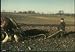 Classic History of Farming and Agriculture in America Films