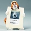 Shih Tzu Tan & White (2 1/2x3 1/2) Small Picture Frame