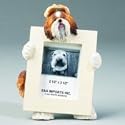 Shih Tzu Tan & White (2 1/2x3 1/2) Small Picture Frame