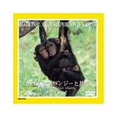 野生のチンパンジーと共に [DVD]