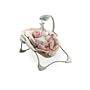 Fisher-Price Papasan Seat