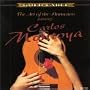 Art of the Flamenco