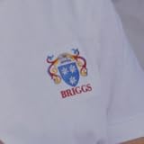 Briggs Embroidered Polo at Passport