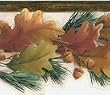 Orange Oak Leaves and Acorns Wallpaper Border