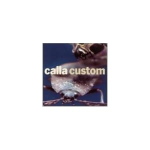 Custom: Remix Project by Calla (Audio CD - 2002)