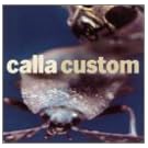 Custom: Remix Project