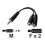 Dexlan Doubleur adaptateur jack 3.5 mm st�r�o C�bl&hellip de Dexlan