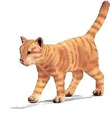 Walking Toy Cat, 2.79