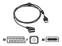 Childrens Toyshop  Video Games : 5.1 Optical High Quality RGB cable GOLD for XBOX