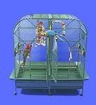 DOUBLE MACAW 64 x 32
