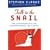 Talk to the Snail: Ten Commandments for Understanding the French