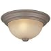 11-Inch Flushmount Ceiling Fixture