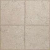 21S9tAxJ9xL. SL160  Vinyl Floor Tile, 12 x 12 Beige Marble