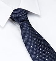 Ultimate Performance Pure Silk Textured Spotted Tie