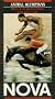 Animal Olympians [VHS]