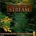 Nature Whispers: Mountain Stream