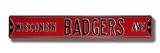 Authentic Street Signs Wisconsin Badgers Ave Street Sign