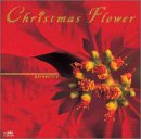 Christmas Flower~poinsettia~