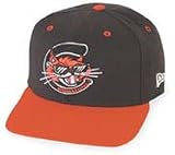 Minor League Baseball Cap - Charleston Alley Cats Home Cap by New Era