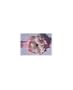 ~ Jamie Rae Mini Rose Flowerette Headband
