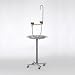 Avian Adventures Parrot Playstand