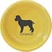 Cockapoo Dog Bowl
