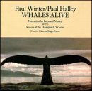 Click for more about Paul Winter: Whales Alive: Narration By Leonard Nimoy.