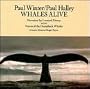 Whales Alive