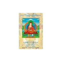 Sur l'oc��an du mahayana: Commentaire du Bodhisattvacharyavatara de Shantid��va