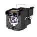 Toshiba TLP LW10 - Projector lamp