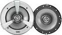 Sony XSS160CX Full Range 6.5-Inch HOP Woofer Cone