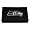Seattle Seahawks