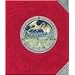 Dragonology: The Complete Book of Dragons (Ologies)