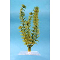 Tetra 19117 Water Wonders Fresh Water Plant Cabomba, 9-Inch by Tetra